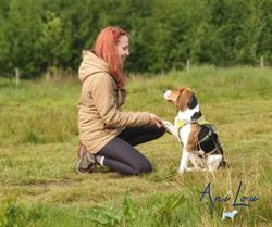 AniLou Dogtraining - Hondentraining & services