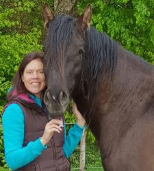 Natural Horseriding and more