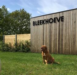 Bleekhoeve