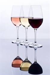Les Sens du Vin