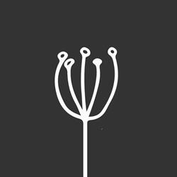 Viva Blooming