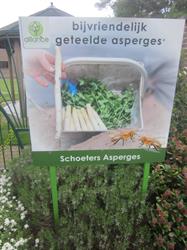 Asperges Schoeters