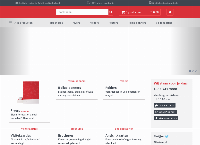 Site de Flyerzone
