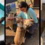 Gedragscoach Yasmin - Help mijn hond