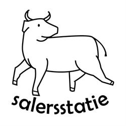 Salersstatie