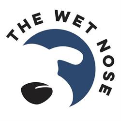 The wet nose