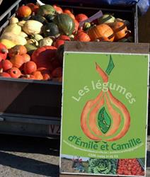 Les légumes d’Émile et Camille