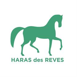 Haras Des Rêves