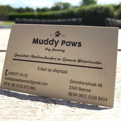 Muddy Paws