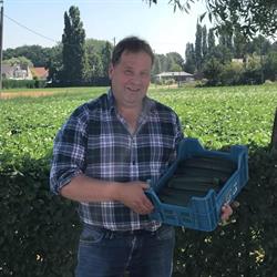 Groenten en Fruit Verbruggen