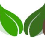 DVG Tuin-en grondwerken