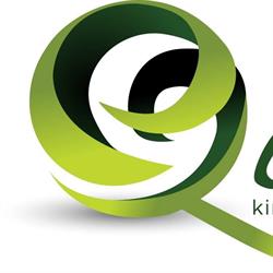 Qine Acupunctuur en Kinesitherapie