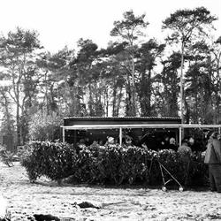 T Kerststalleke in de zeept