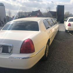 Panthera Limo service