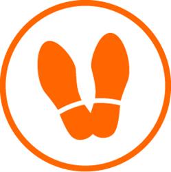 VIVA's Free Walking Tours - Antwerp/Brussels/Bruges/Ghent
