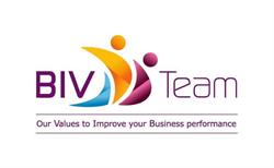 BIVTeam