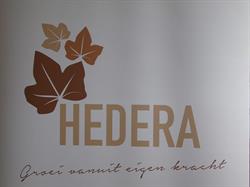 Hedera - Centrum voor psychische revalidatie