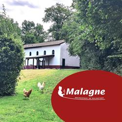 Malagne - Archéoparc de Rochefort