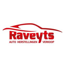Garage Raveyts