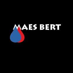 Bert Maes