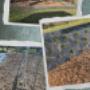 Création de divers parterres, pose de plaquettes