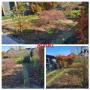 Réaménagement complet d'un jardin