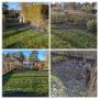 Réaménagement complet d'un jardin (pelouse en rouleau, différents parterres