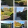Entretiens des espaces verts, réparation pelouse