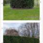 Entretiens des espaces verts
