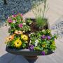 Composition annuelle