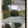 Entretiens des espaces verts