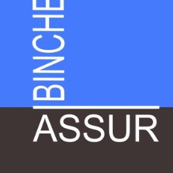 SPRL BINCHE ASSUR & IMMO, Laurent SAUTEUR