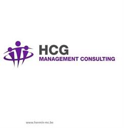 HERMIN CONSULTING