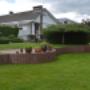 Tim's Garden