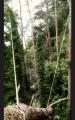 Stormschade
