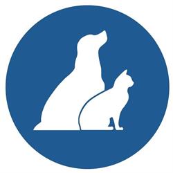 Dierenasiel Gent
