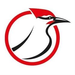 Woodpecker Design