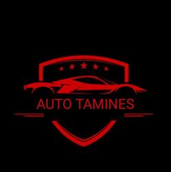 Auto Tamines
