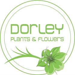 Dorley Plants & Flowers