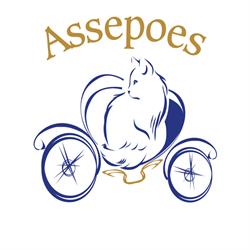 Assepoes - gedragsadvies en trimsalon voor katten