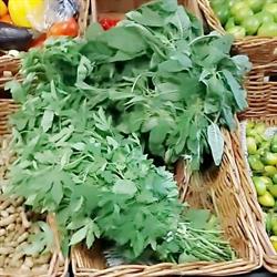 Ninove market