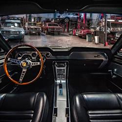 MUSTANG & CO