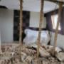 rufflard construct abattage d'une cloison