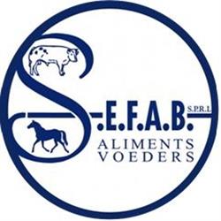 S.E.F.A.B.