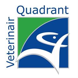 Dierenartsen Veterinair Quadrant