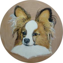 "Aux rêves des 4 pattes" Éducation du chiot