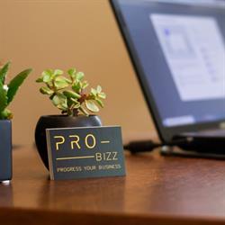 Pro-Bizz