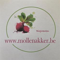 Mollenakker
