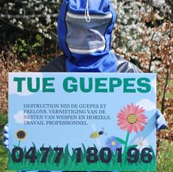 Tue guêpes