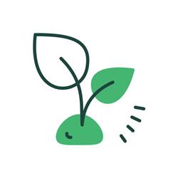 Alvade boomwerken en tuinonderhoud